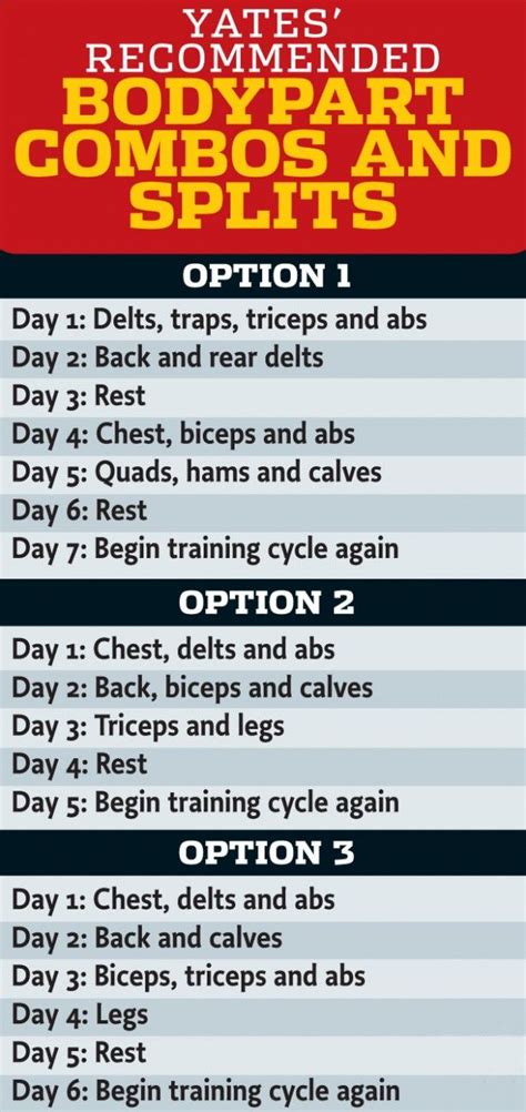 dorian yates|dorian yates training program.